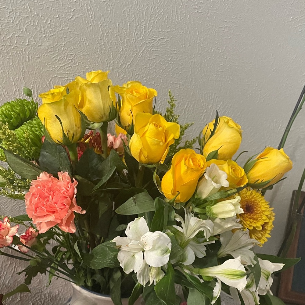 Meet your Posher,Peony!